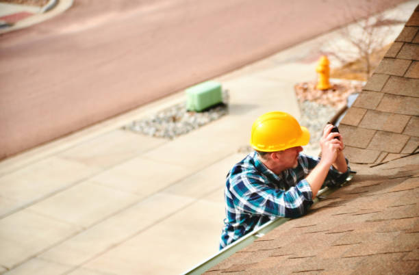 Best Roof Gutter Cleaning  in Fall River, MA